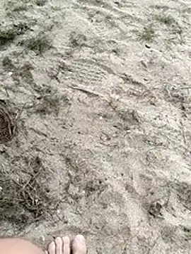 pegaso369 online show from 26, 2, 2026