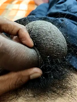 Bio-teacher online show from 22, 11, 2025