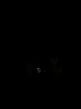 philefc online show from 3, 11, 2025