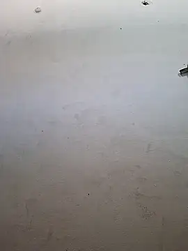 msandmr online show from 19, 11, 2025