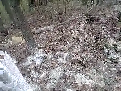 Snapshot of fischnet chatting on 20, 9, 2025 fischnet online show from 20, 9, 2025