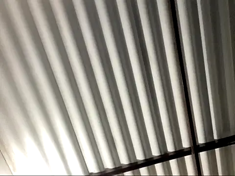 SexIngenieur online show from 7, 2, 2026