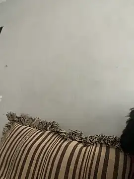 Snapshot of NoddingScorpion chatting on 10, 11, 2025 NoddingScorpion online show from 10, 11, 2025