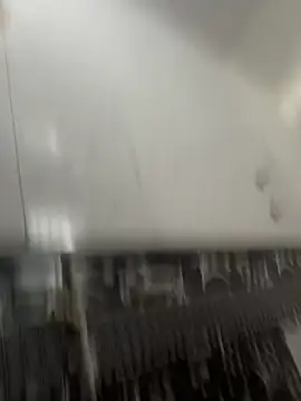 Snapshot of NoddingScorpion chatting on 8, 3, 2026 NoddingScorpion online show from 8, 3, 2026