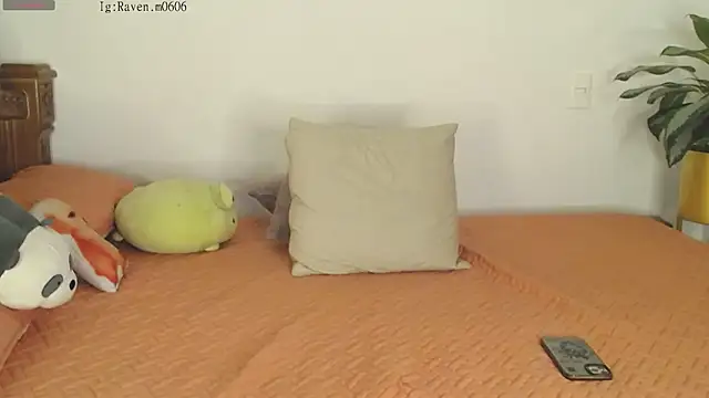 Snapshot of Raven06_ chatting on 11, 11, 2025 Raven06 online show from 11, 11, 2025