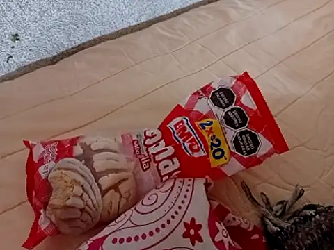 Feertorres  online show from 1, 2, 2026