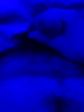 Derfick200 online show from 2, 12, 2025