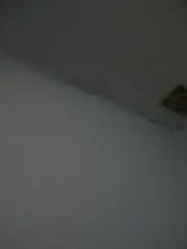 Kriffert online show from 1, 11, 2025