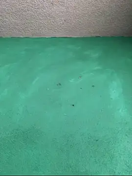 carlo20n online show from 16, 10, 2025