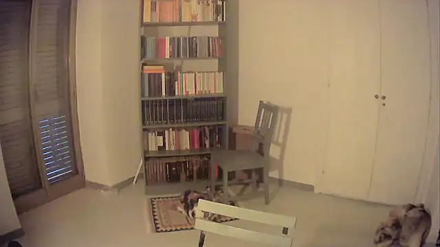 Snapshot of Mrkurt86 chatting on 26, 10, 2025 Mrkurt86 online show from 26, 10, 2025