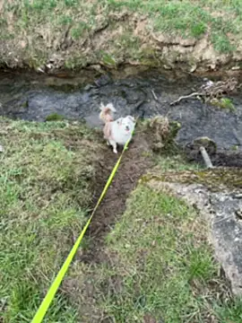 Snapshot of OliviaaFischer chatting on 12, 3, 2026 OliviaaFischer online show from 12, 3, 2026