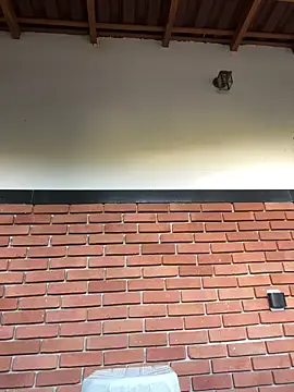 Dunot   online show from 21, 12, 2025