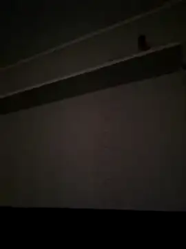 NibbleSweetie online show from 13, 12, 2025