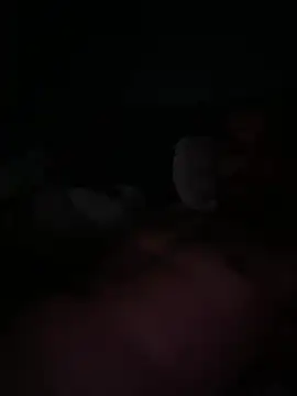 jordanbirdy online show from 20, 2, 2026