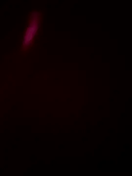 Snapshot of Size_x@xh chatting on 16, 1, 2026 Size xxh online show from 16, 1, 2026