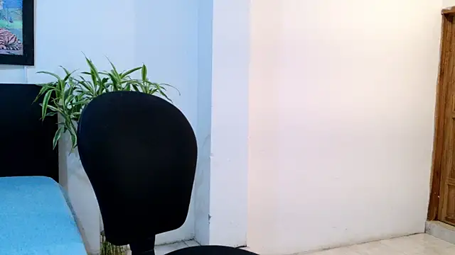 Allhondra online show from 7, 11, 2025