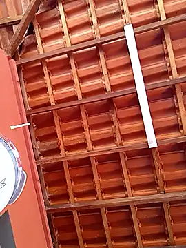 RaphinhaSanches online show from 7, 11, 2025