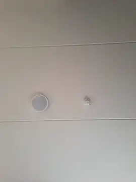 geilerd122 online show from 19, 10, 2025