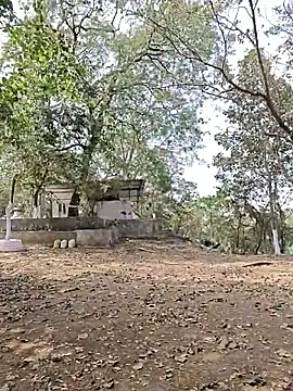 yung cplz online show from 7, 2, 2026