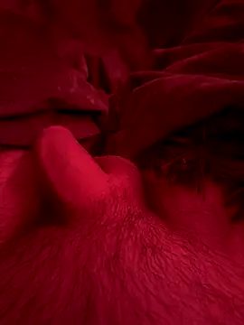 couplefuck   online show from 16, 12, 2025