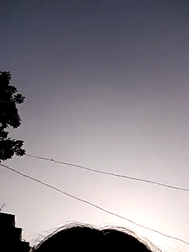 Snapshot of Neelamt12 chatting on 15, 11, 2025 Neelamt12 online show from 15, 11, 2025