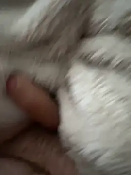 cumshot foryou online show from 7, 3, 2026