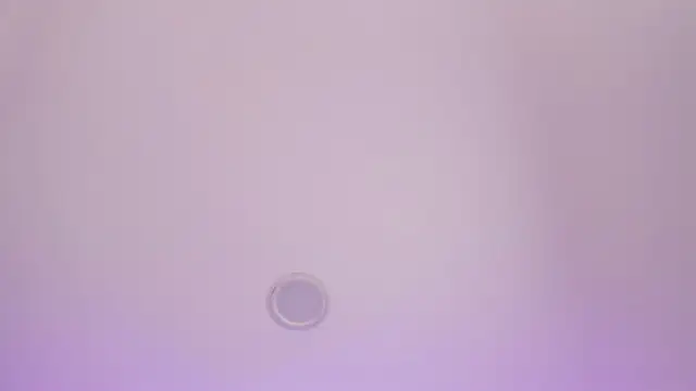 BabyMiaa   online show from 19, 11, 2025