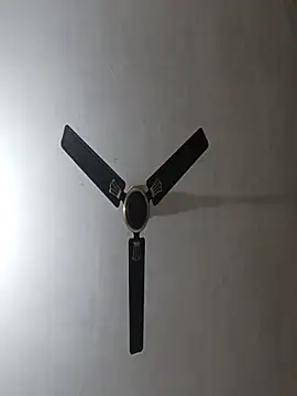 NoxiousFilename online show from 10, 11, 2025