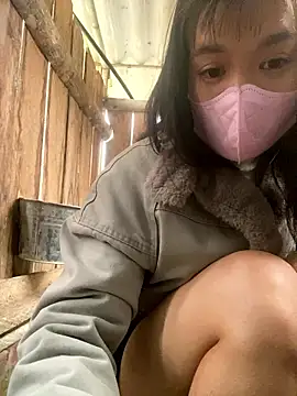 Snapshot of PhanHaa chatting on 16, 1, 2026 PhanHaa online show from 16, 1, 2026