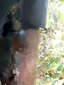 kavi1q1 online show from 17, 1, 2026