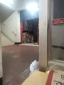 Snapshot of sk24d chatting on 17, 11, 2025 sk24d online show from 17, 11, 2025