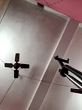 Panchi2 online show from 3, 11, 2025