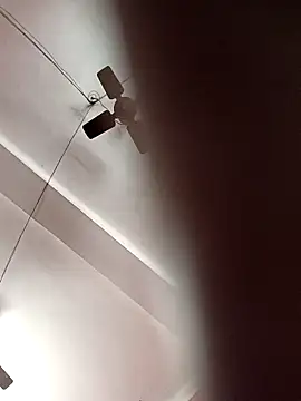 Panchi2 online show from 4, 11, 2025