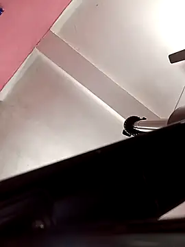 Panchi2 online show from 12, 11, 2025