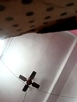 Panchi2 online show from 13, 11, 2025