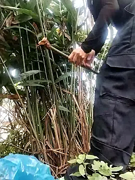 linda bae00 online show from 26, 10, 2025