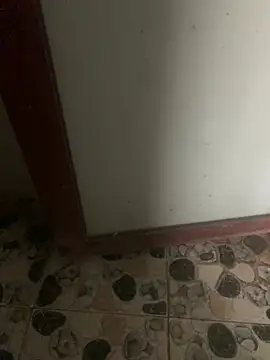 Thichphunudamdang online show from 2, 2, 2026