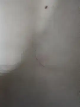 Snapshot of cogiaodam chatting on 25, 11, 2025 cogiaodam online show from 25, 11, 2025