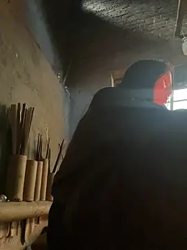 phungtiti online show from 12, 1, 2026