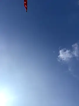 EmLy02 online show from 19, 12, 2025