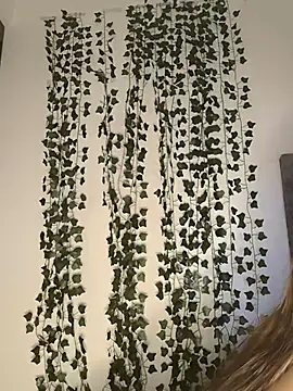 Snapshot of butterfly777_ chatting on 11, 1, 2026 butterfly777 online show from 11, 1, 2026