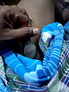 dolphiinn online show from 22, 11, 2025