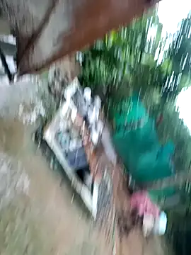 dolphiinn online show from 29, 11, 2025