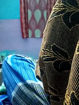 dolphiinn online show from 29, 11, 2025