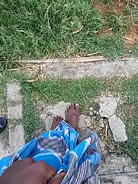 dolphiinn online show from 12, 1, 2026