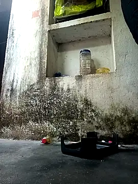 cute diya 12 online show from 14, 12, 2025