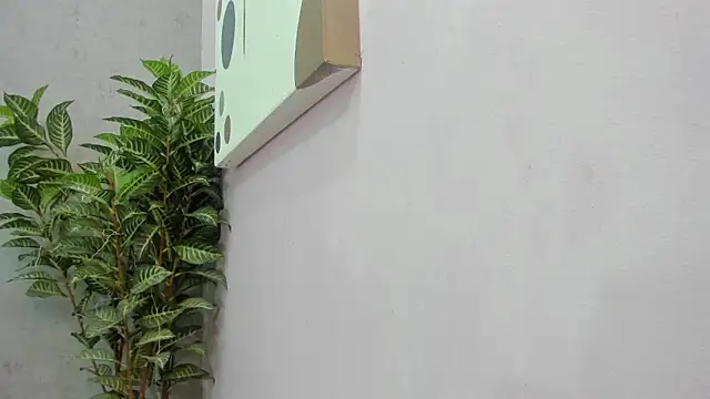 scarlett646 online show from 2, 12, 2025