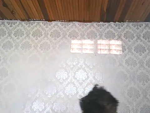 leandro477 online show from 13, 9, 2025