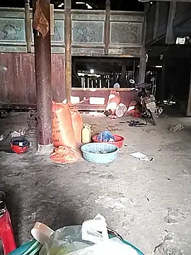 venu00 online show from 2, 12, 2025