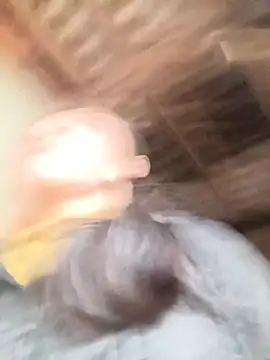 Snapshot of YAYAA-502 chatting on 6, 3, 2026 YAYAA-502 online show from 6, 3, 2026